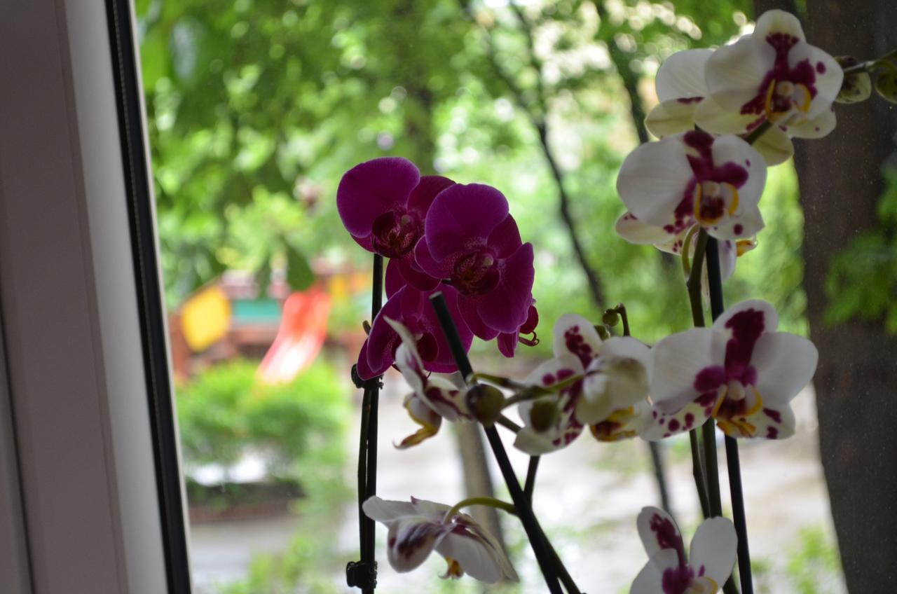 Apartament Orchidea Centrum Warsaw Luaran gambar